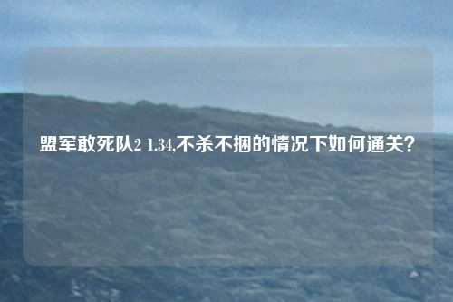 盟军敢死队2 1.34,不杀不捆的情况下如何通关？