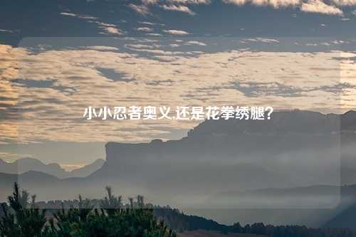 小小忍者奥义,还是花拳绣腿？