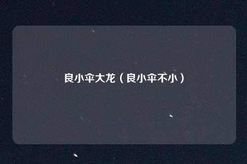 良小伞大龙（良小伞不小）