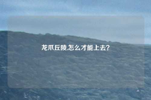 龙爪丘陵,怎么才能上去？