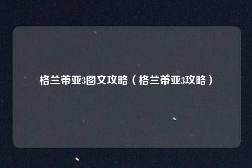 格兰蒂亚3图文攻略（格兰蒂亚3攻略）