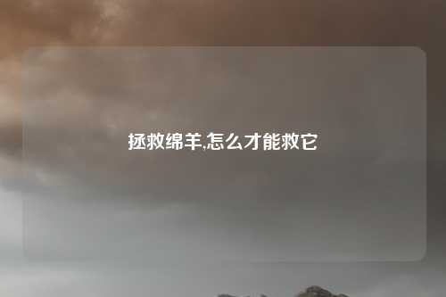 拯救绵羊,怎么才能救它