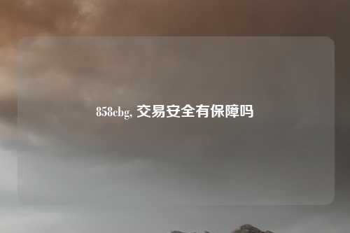 858cbg, 交易安全有保障吗