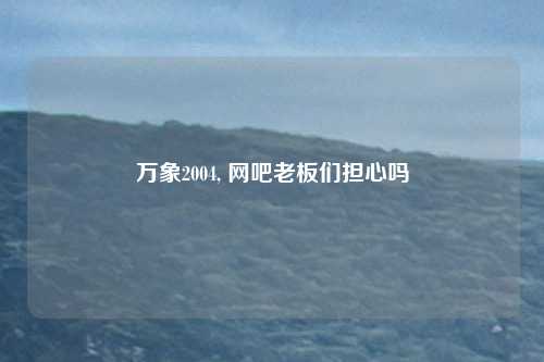 万象2004, 网吧老板们担心吗