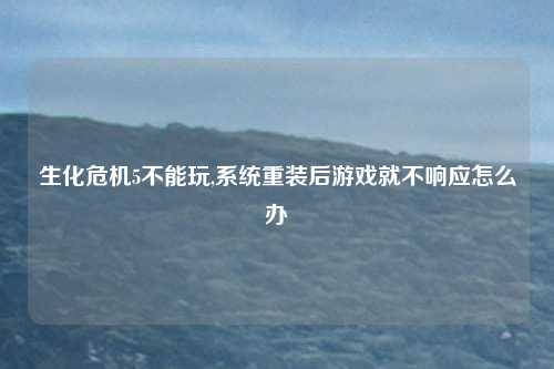 生化危机5不能玩,系统重装后游戏就不响应怎么办