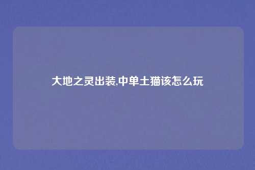 大地之灵出装,中单土猫该怎么玩