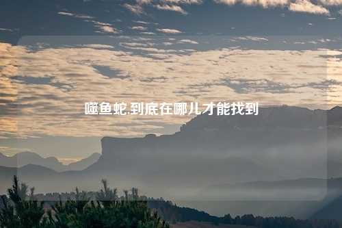噬鱼蛇,到底在哪儿才能找到