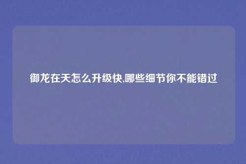 御龙在天怎么升级快,哪些细节你不能错过