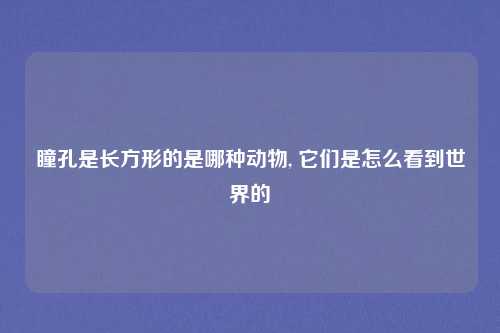 瞳孔是长方形的是哪种动物, 它们是怎么看到世界的