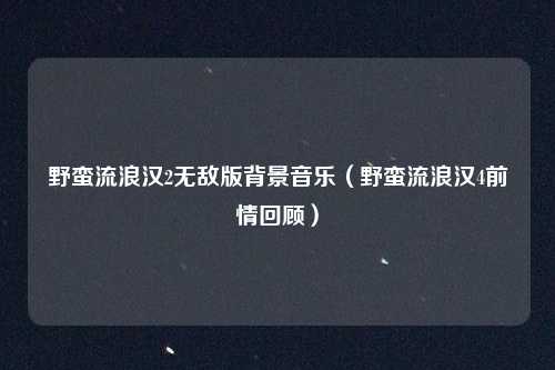 野蛮流浪汉2无敌版背景音乐（野蛮流浪汉4前情回顾）