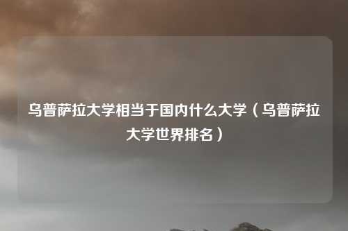 乌普萨拉大学相当于国内什么大学（乌普萨拉大学世界排名）