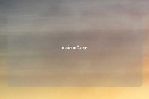 msicuu2.exe