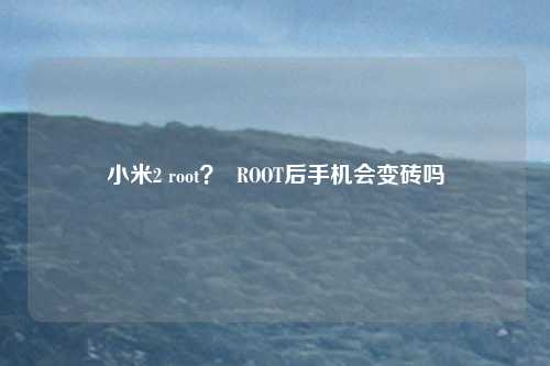 小米2 root? ROOT后手机会变砖吗