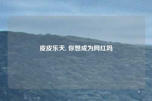 皮皮乐天, 你想成为网红吗