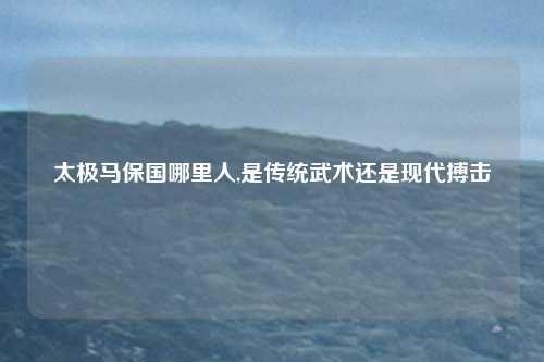 太极马保国哪里人,是传统武术还是现代搏击