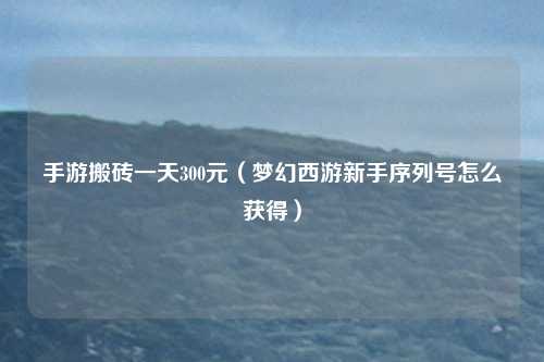 手游搬砖一天300元(梦幻西游新手序列号怎么获得)