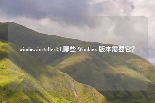 windowsinstaller3.1,哪些 Windows 版本需要它？