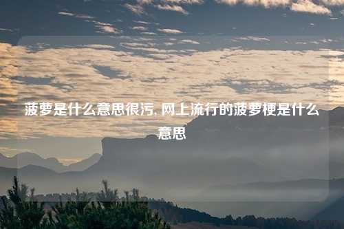 菠萝是什么意思很污, 网上流行的菠萝梗是什么意思