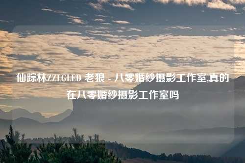 仙踪林ZZLGLED 老狼 - 八零婚纱摄影工作室,真的在八零婚纱摄影工作室吗
