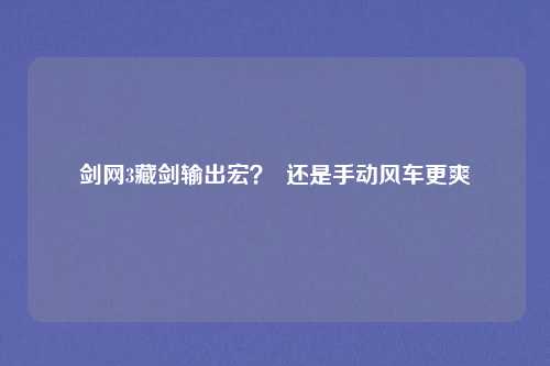 剑网3藏剑输出宏？  还是手动风车更爽