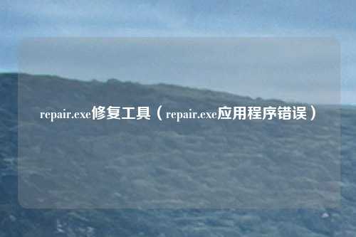 repair.exe修复工具(repair.exe应用程序错误)