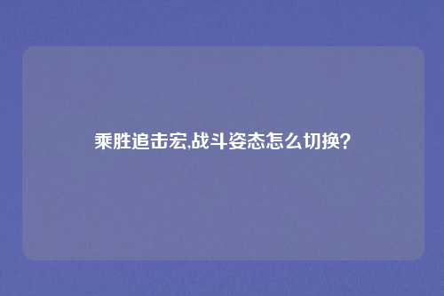 乘胜追击宏,战斗姿态怎么切换?