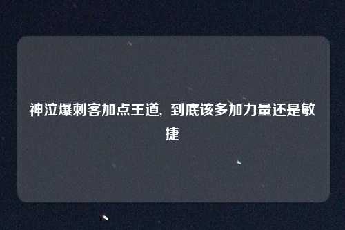 神泣爆刺客加点王道,  到底该多加力量还是敏捷