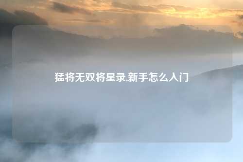 猛将无双将星录,新手怎么入门