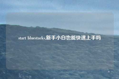 start bluestacks,新手小白也能快速上手吗