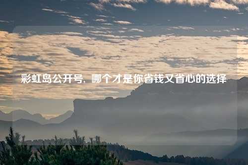 彩虹岛公开号,  哪个才是你省钱又省心的选择