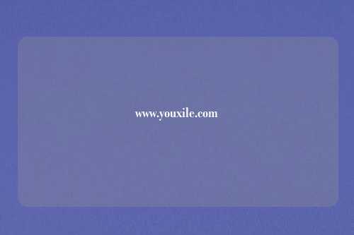 www.youxile.com