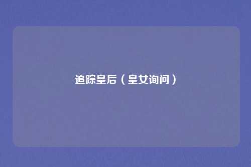 追踪皇后(皇女询问)