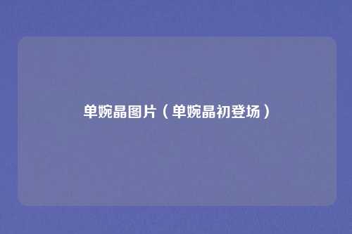 单婉晶图片(单婉晶初登场)