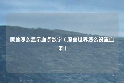魔兽怎么显示血条数字（魔兽世界怎么设置血条）
