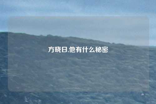 方晓日,他有什么秘密