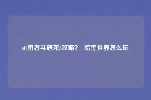 sfc勇者斗恶龙3攻略? 暗黑世界怎么玩