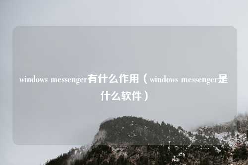 windows messenger有什么作用(windows messenger是什么软件)