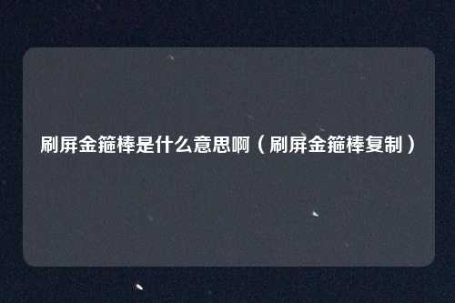 刷屏金箍棒是什么意思啊（刷屏金箍棒复制）