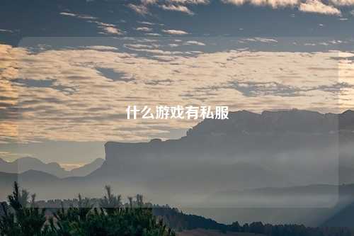 什么游戏有私服