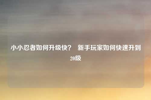 小小忍者如何升级快? 新手玩家如何快速升到20级