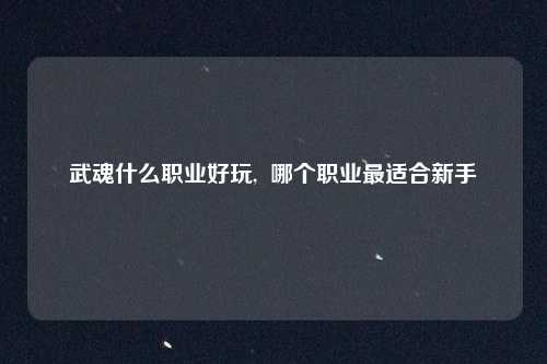 武魂什么职业好玩, 哪个职业最适合新手