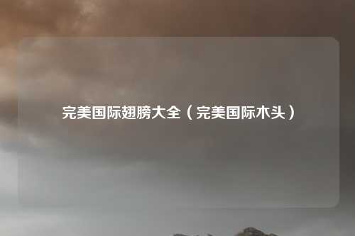 完美国际翅膀大全（完美国际木头）