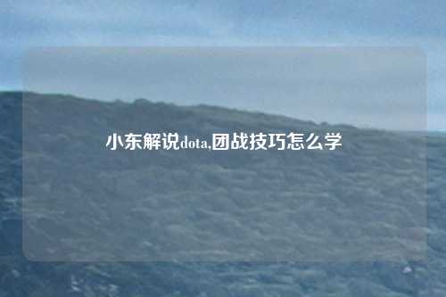 小东解说dota,团战技巧怎么学