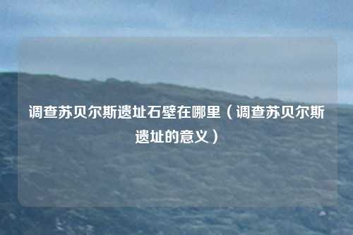 调查苏贝尔斯遗址石壁在哪里(调查苏贝尔斯遗址的意义)