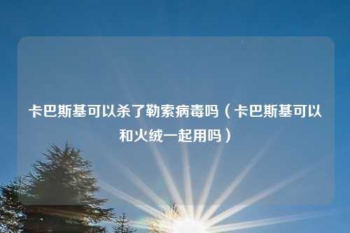 卡巴斯基可以杀了勒索病毒吗(卡巴斯基可以和火绒一起用吗)