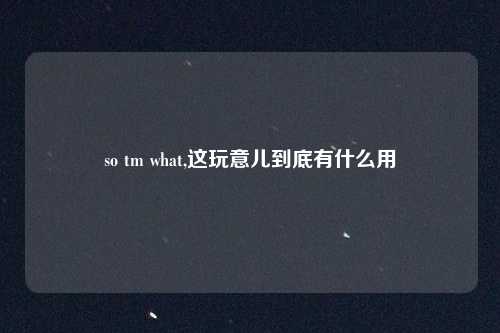 so tm what,这玩意儿到底有什么用