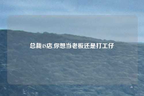 总裁4S店,你想当老板还是打工仔