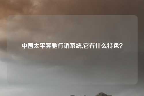 中国太平奔驰行销系统,它有什么特色？