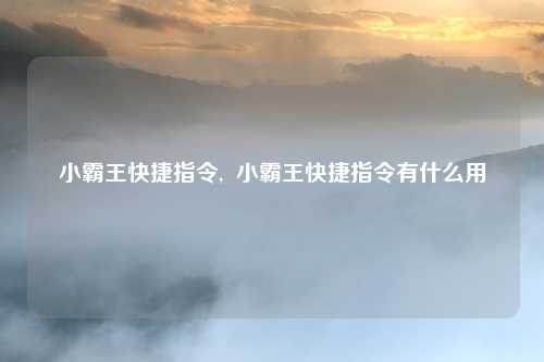 小霸王快捷指令,  小霸王快捷指令有什么用