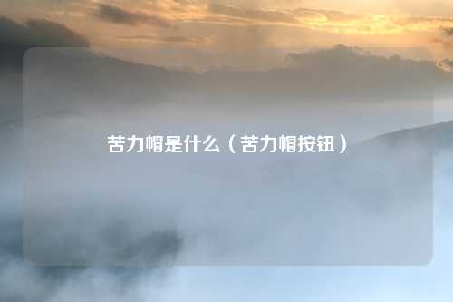 苦力帽是什么(苦力帽按钮)